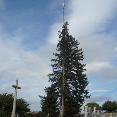 Abattage à la Grue 