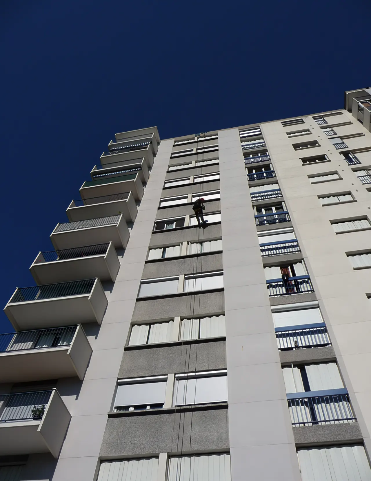 Travaux acrobatiques par Art’Kébia, arboriste grimpeur dans la région grenobloise